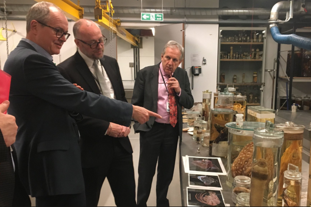 Patrick Vallance is shown a display of jarred creatures at the Natural History Museum.