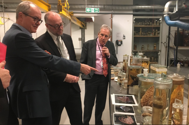 Patrick Vallance is shown a display of jarred creatures at the Natural History Museum.